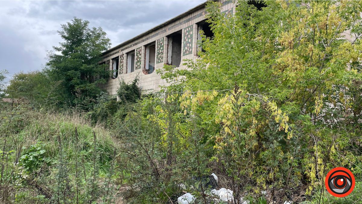 У Коломиї на покинутому комбінаті поселилися лисиці 1