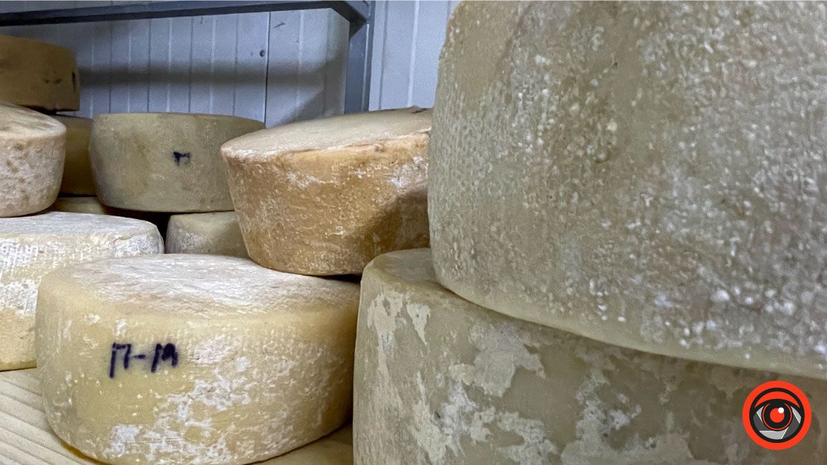 Успішний коломийський підприємець обрав тихе життя і екоферму замість розкошів міста 9