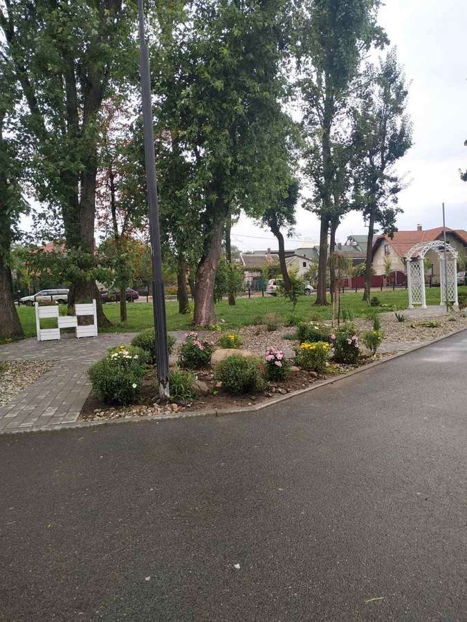 Лавочка та квіти - у Коломиї оновили територію міського озера 6