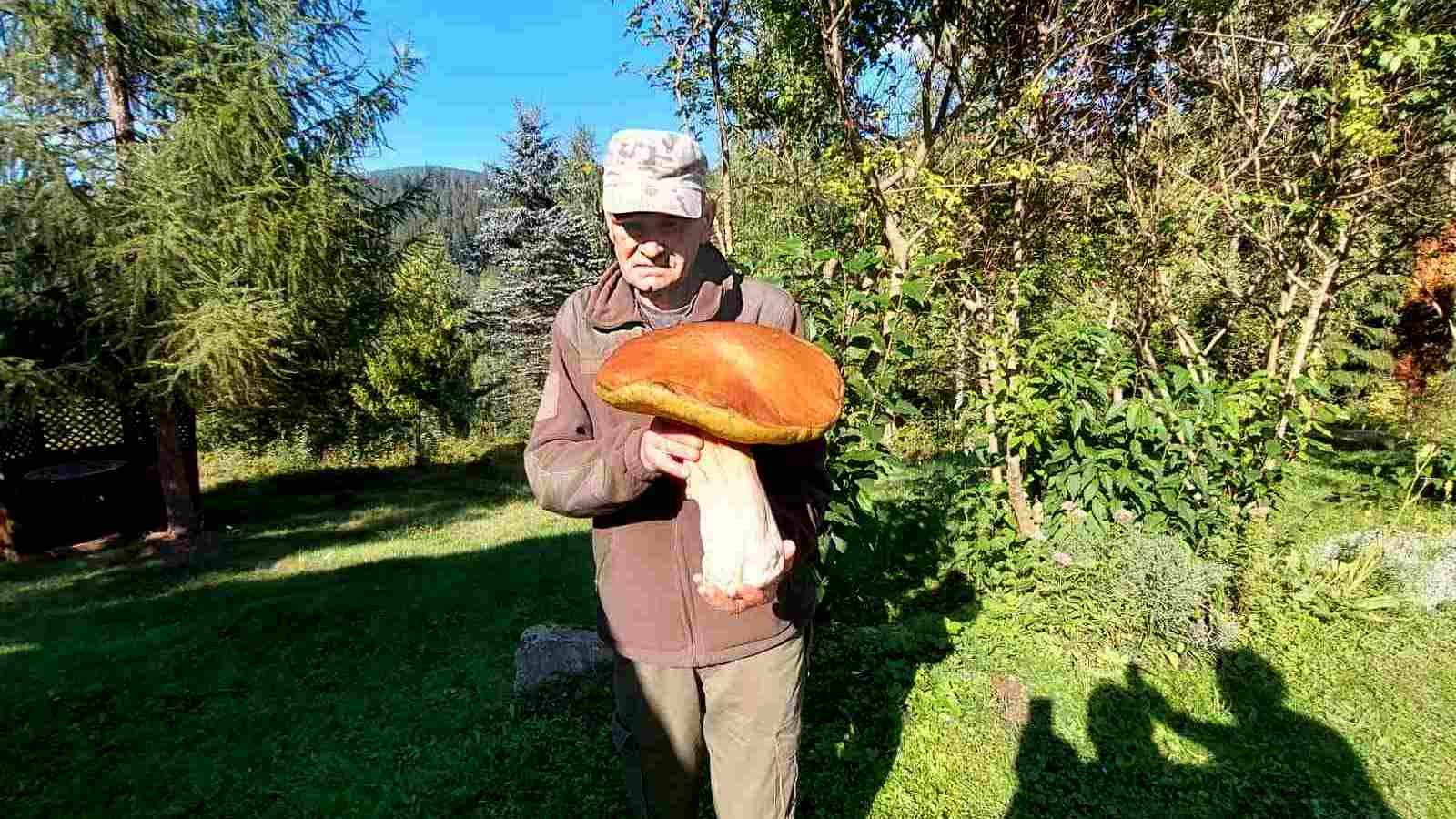 На Прикарпатті знайшли гриба, вагою 3 кг 1