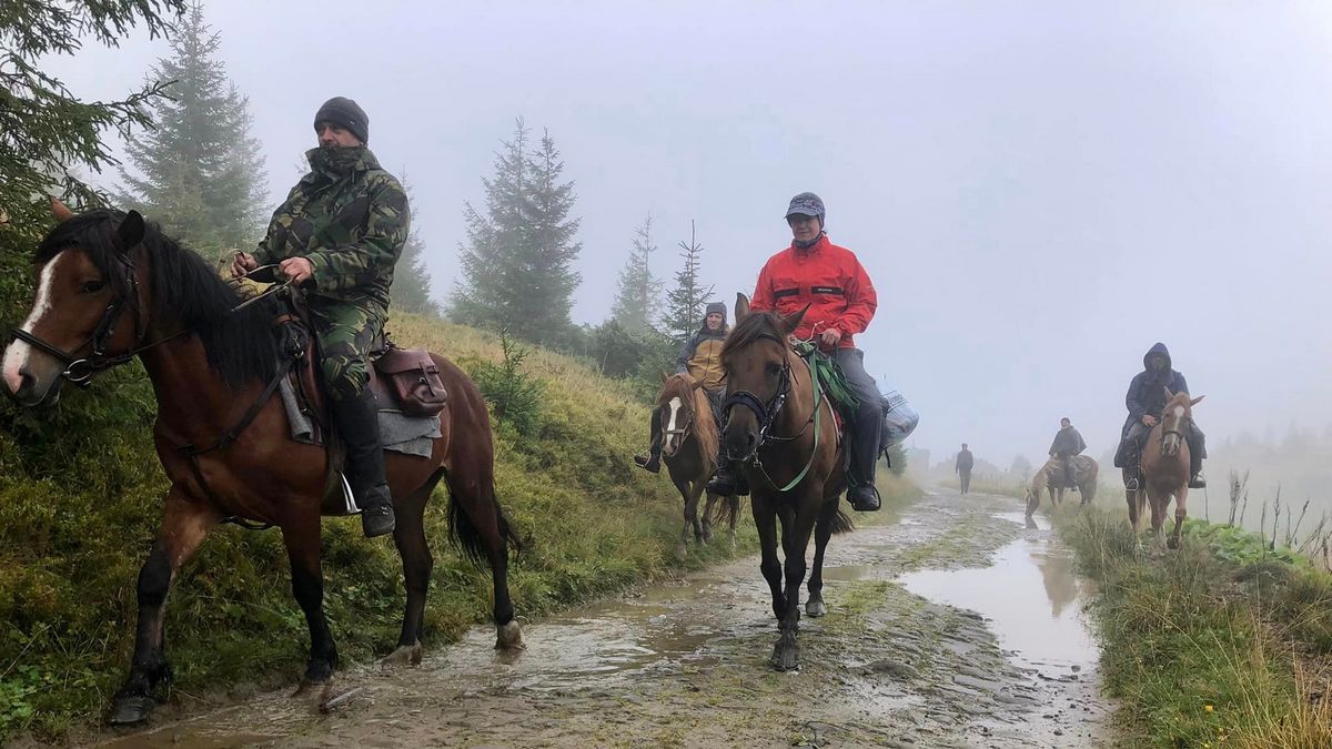 Пізнання природи Карпат з гуцульським конем | фоторепортаж 13
