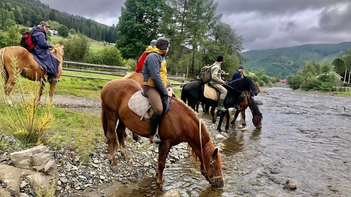 Пізнання природи Карпат з гуцульським конем | фоторепортаж 19