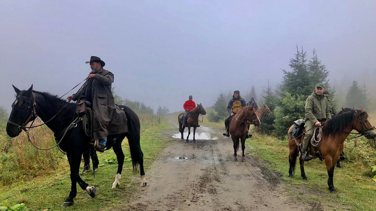 Пізнання природи Карпат з гуцульським конем | фоторепортаж 4