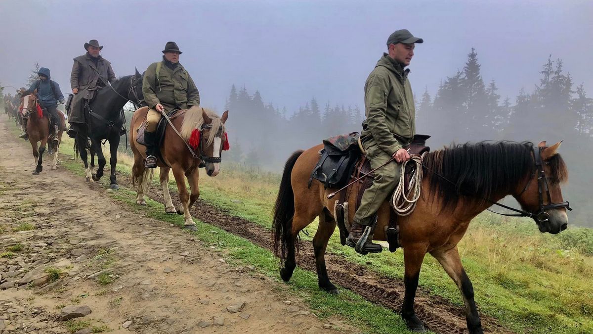Пізнання природи Карпат з гуцульським конем | фоторепортаж 7