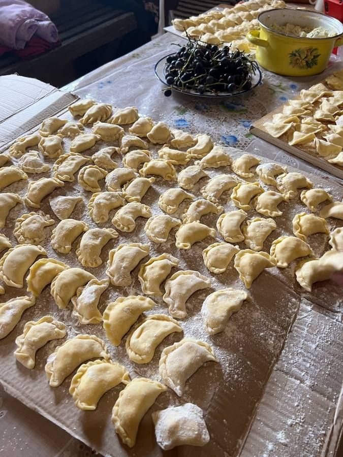 У Сопові провели гастротерапію 6