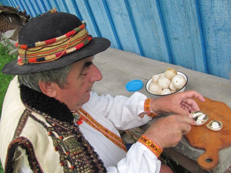 Мешканець Космача знайшов екзотичного гриба-веселку 3