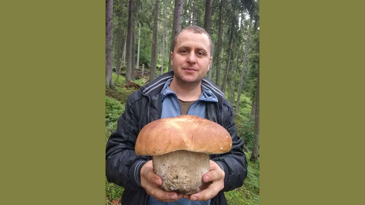У Карпатах знайшли неймовірного гриба-гіганта