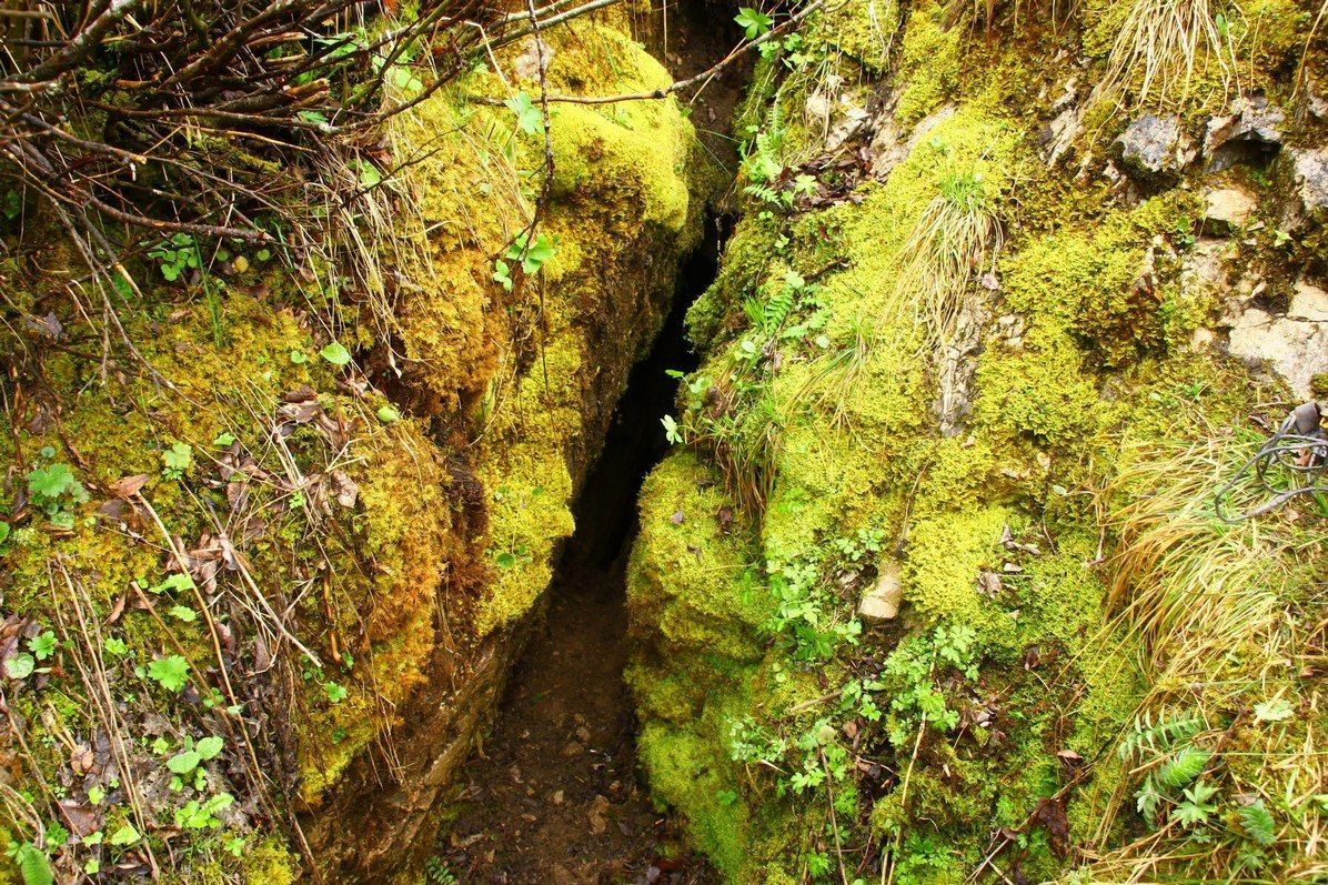 Приголомшливий кінний маршрут національним парком 9