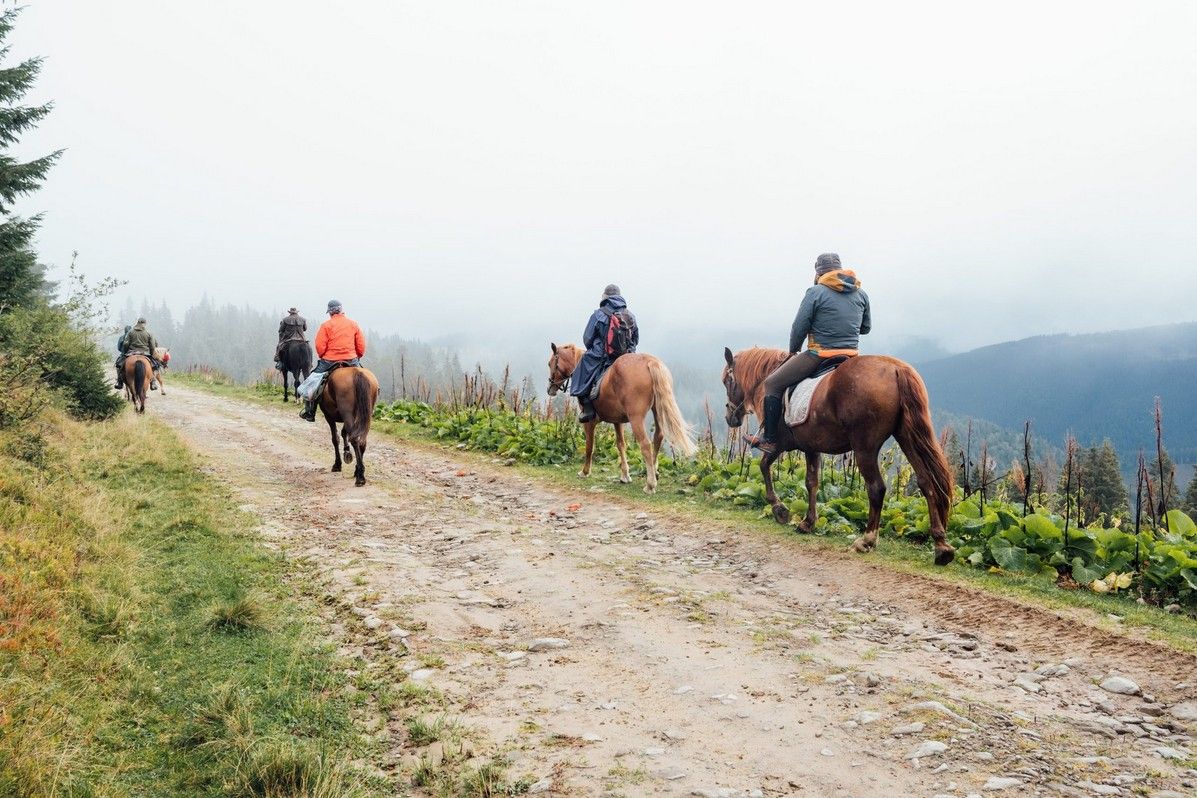 Приголомшливий кінний маршрут національним парком 5