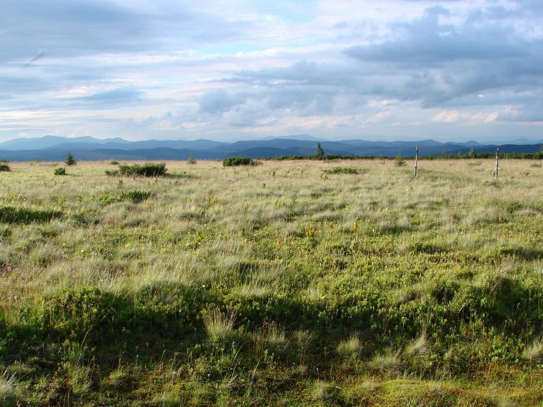 Приголомшливий кінний маршрут національним парком 15