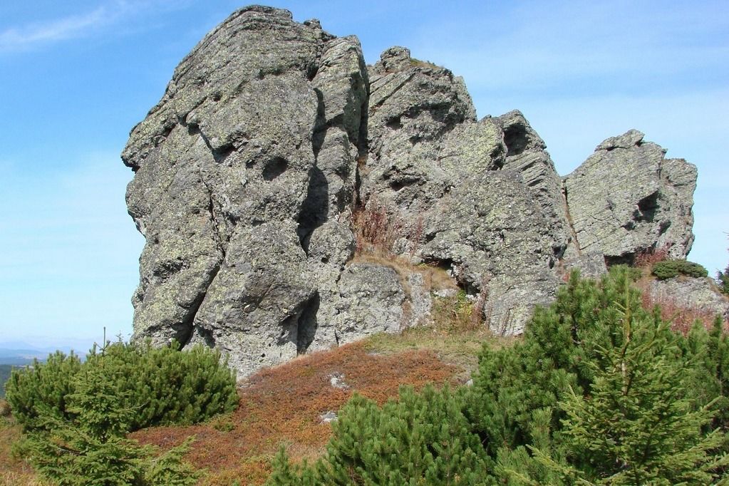 Приголомшливий кінний маршрут національним парком 4