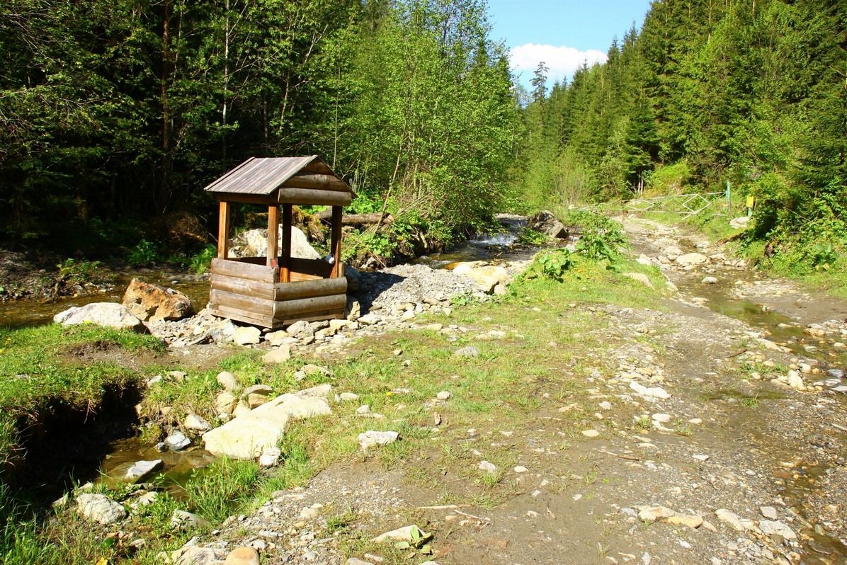 Приголомшливий кінний маршрут національним парком 13