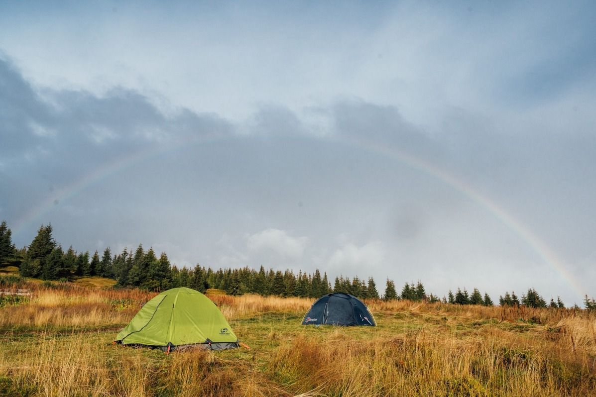 Приголомшливий кінний маршрут національним парком 6