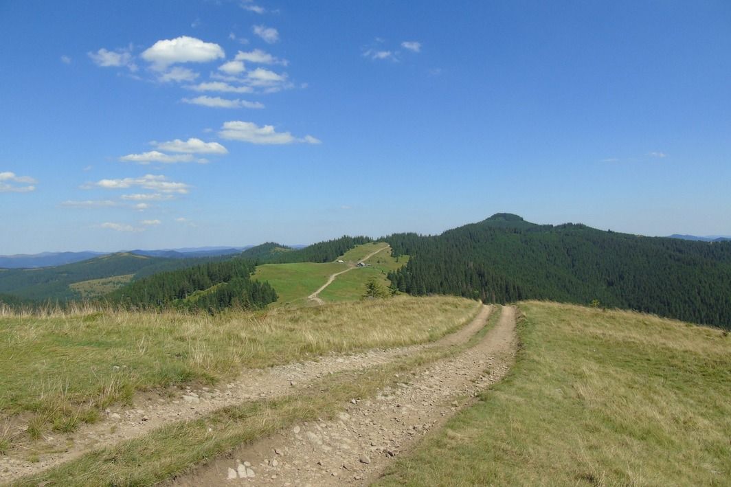 Приголомшливий кінний маршрут національним парком 7