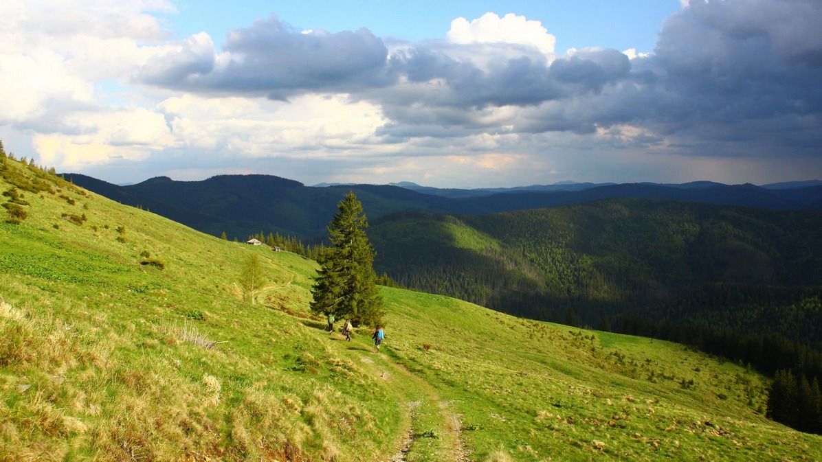 Приголомшливий кінний маршрут національним парком 8