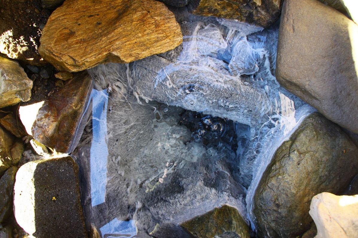 Приголомшливий кінний маршрут національним парком 16