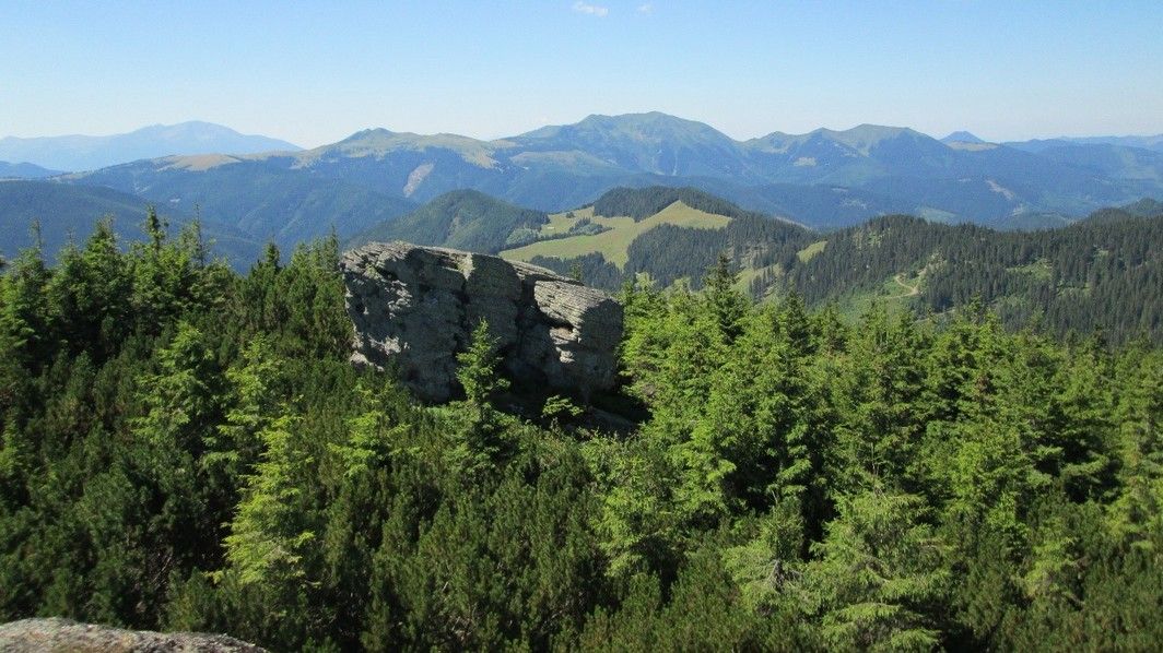 Приголомшливий кінний маршрут національним парком 3