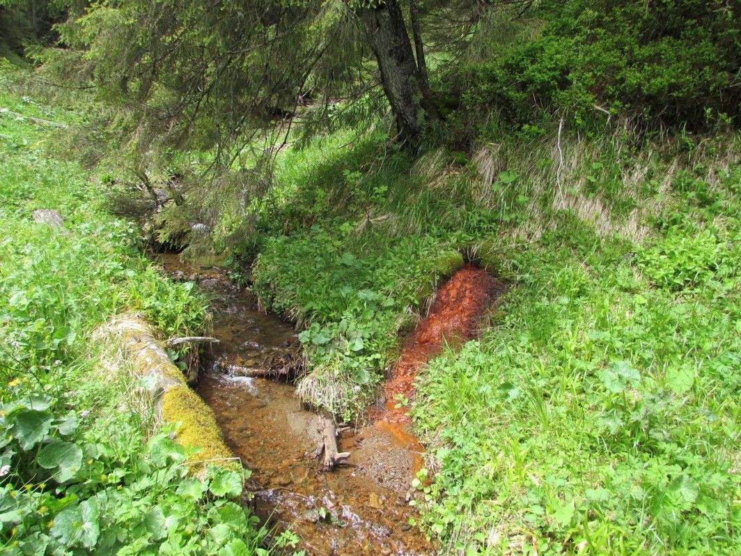 Приголомшливий кінний маршрут національним парком 12
