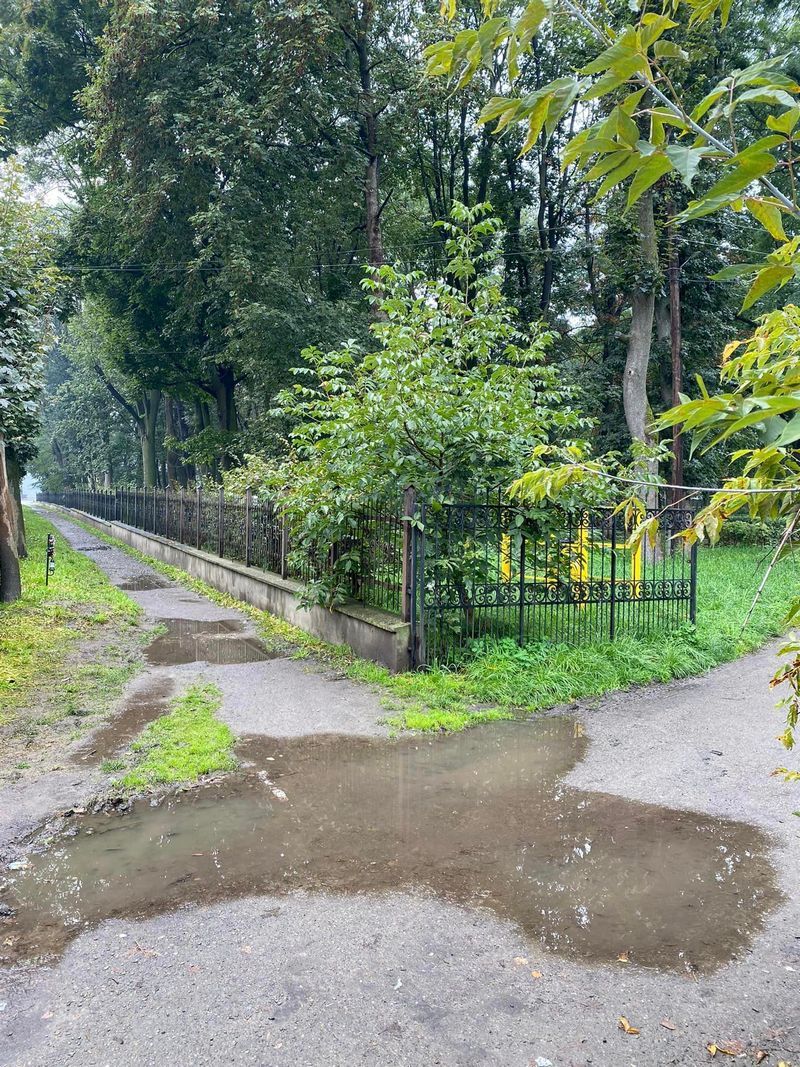 Коломияни нарікають на жахливі тротуари на вулиці Петлюри 3