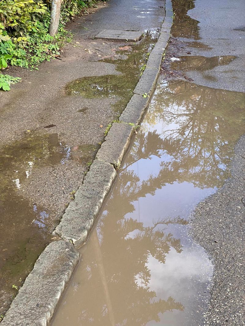 Коломияни нарікають на жахливі тротуари на вулиці Петлюри 1