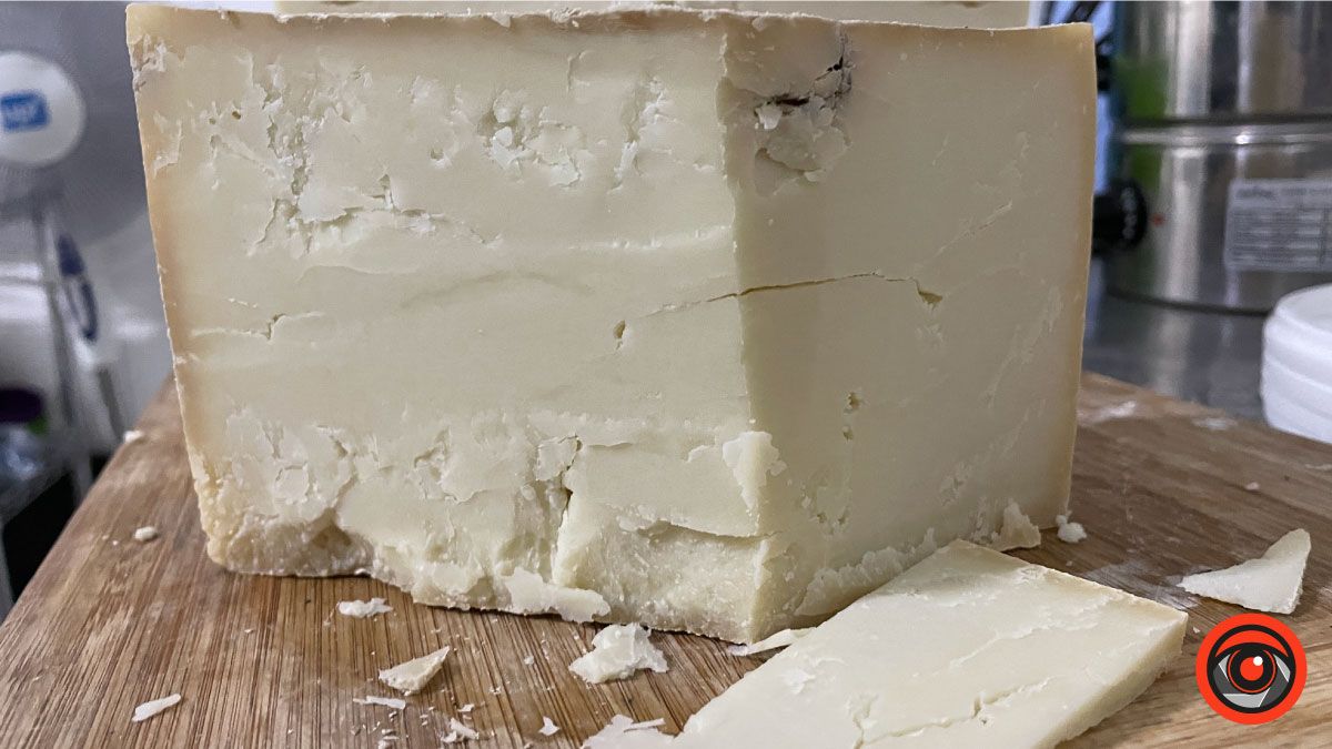 Успішний коломийський підприємець обрав тихе життя і екоферму замість розкошів міста 11