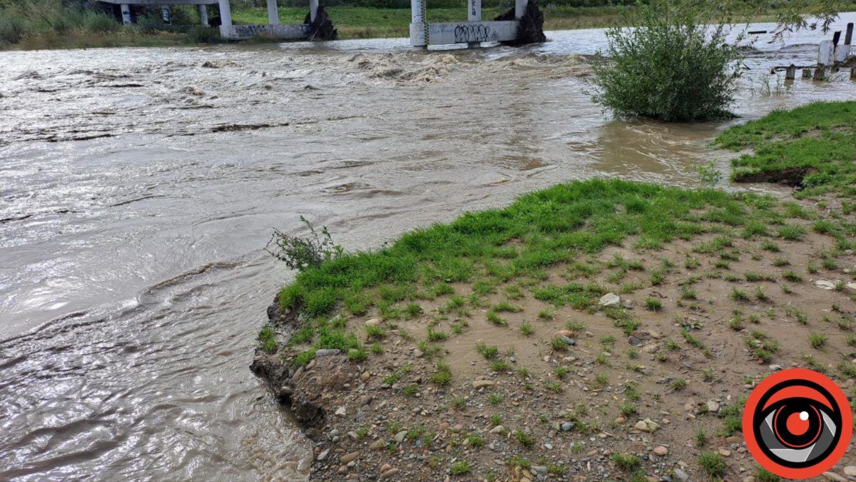 Повноводдя на Пруті 18 вересня | фотофакт 3