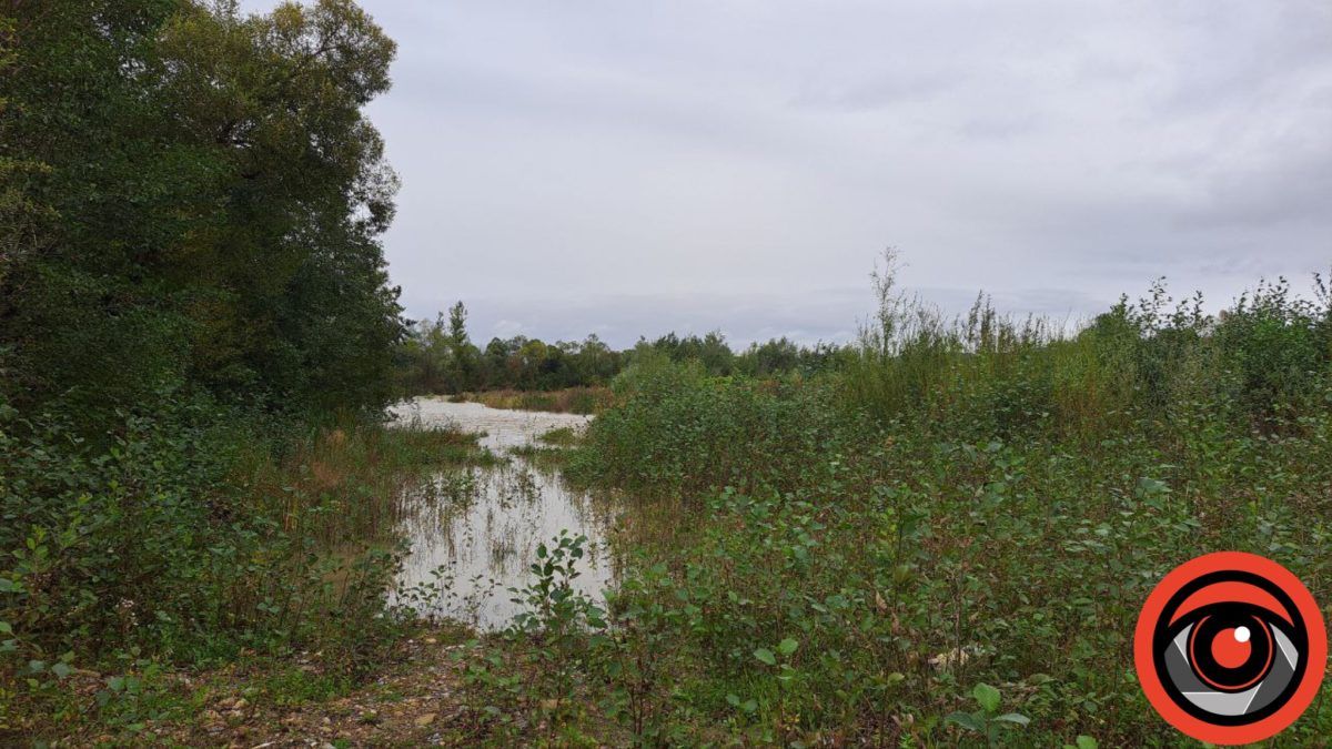 На річці Пістиньці також повноводдя 3