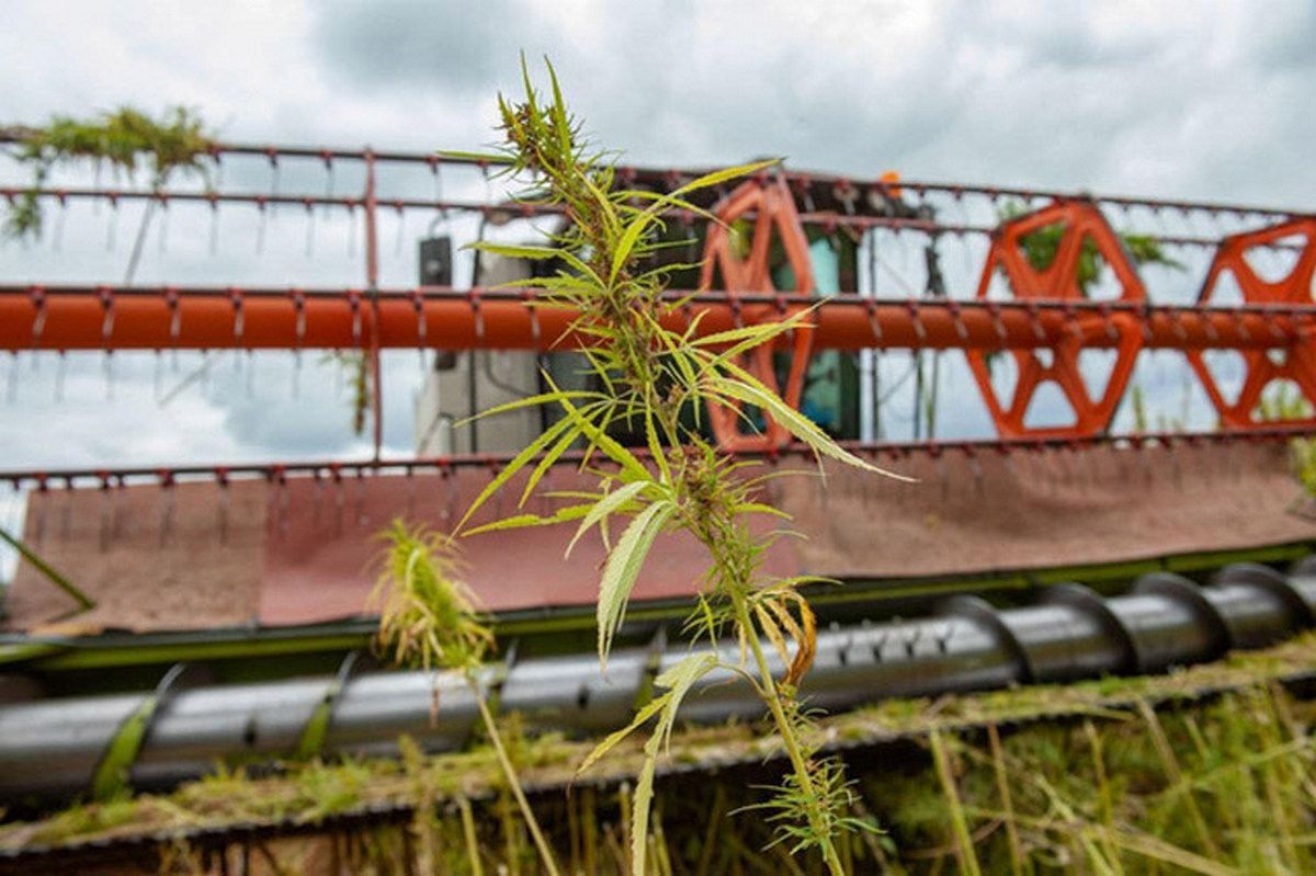 Бронежилет з коноплі: ноу-хау від українських науковців 2