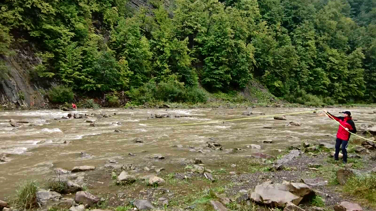 Ледь не зірвалися зі скали у річку | У Яремче рятували собак 2