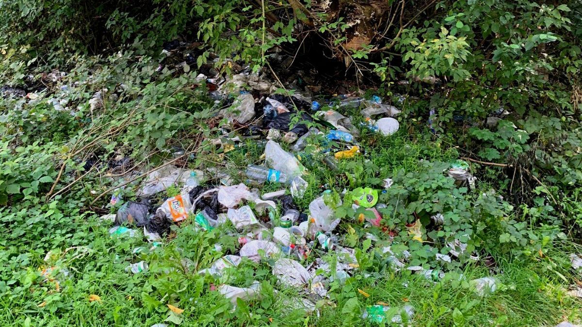 «Хай небо буде мирним, а Україна чистою!» | У Городенці відбулася екологічна акція 6