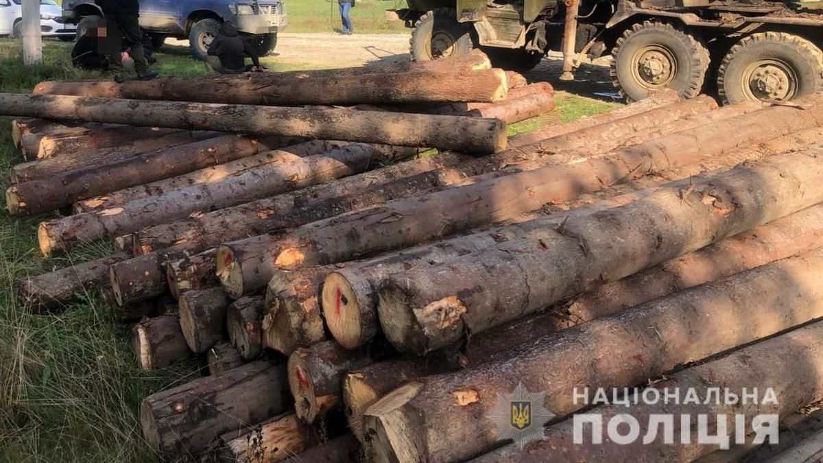 Вимагав 100 тис грн за відпуск деревини: на Прикарпатті затримали лісничого 2