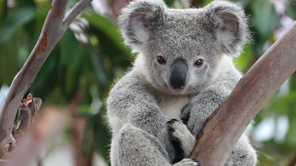 24 вересня - свята, іменинники та пам'ятні дати 7