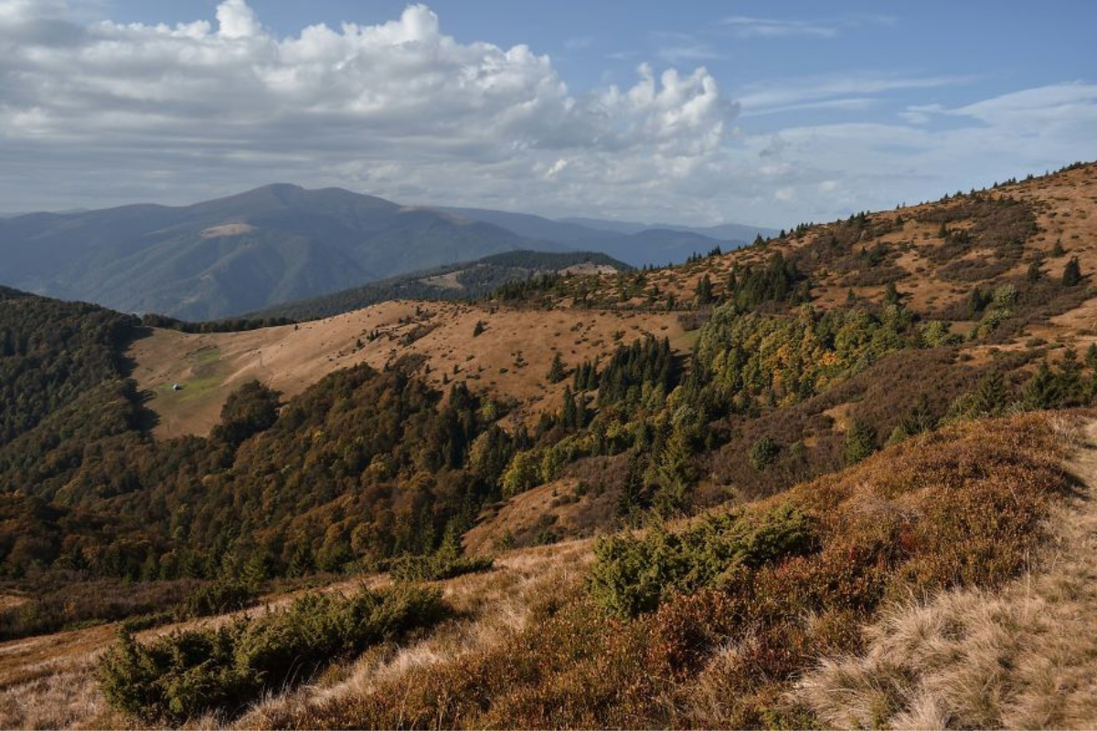 Українські Карпати - місце сили | Фоторепортаж 10