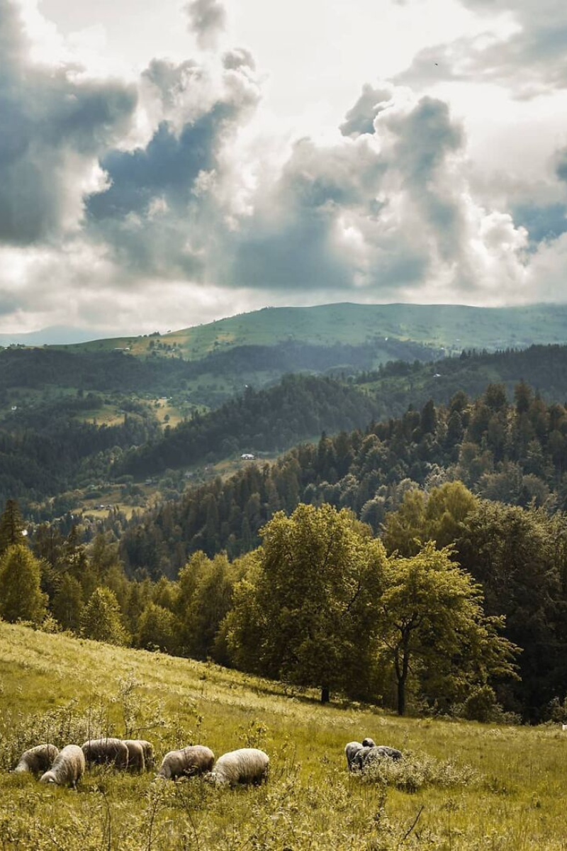 Українські Карпати - місце сили | Фоторепортаж 13