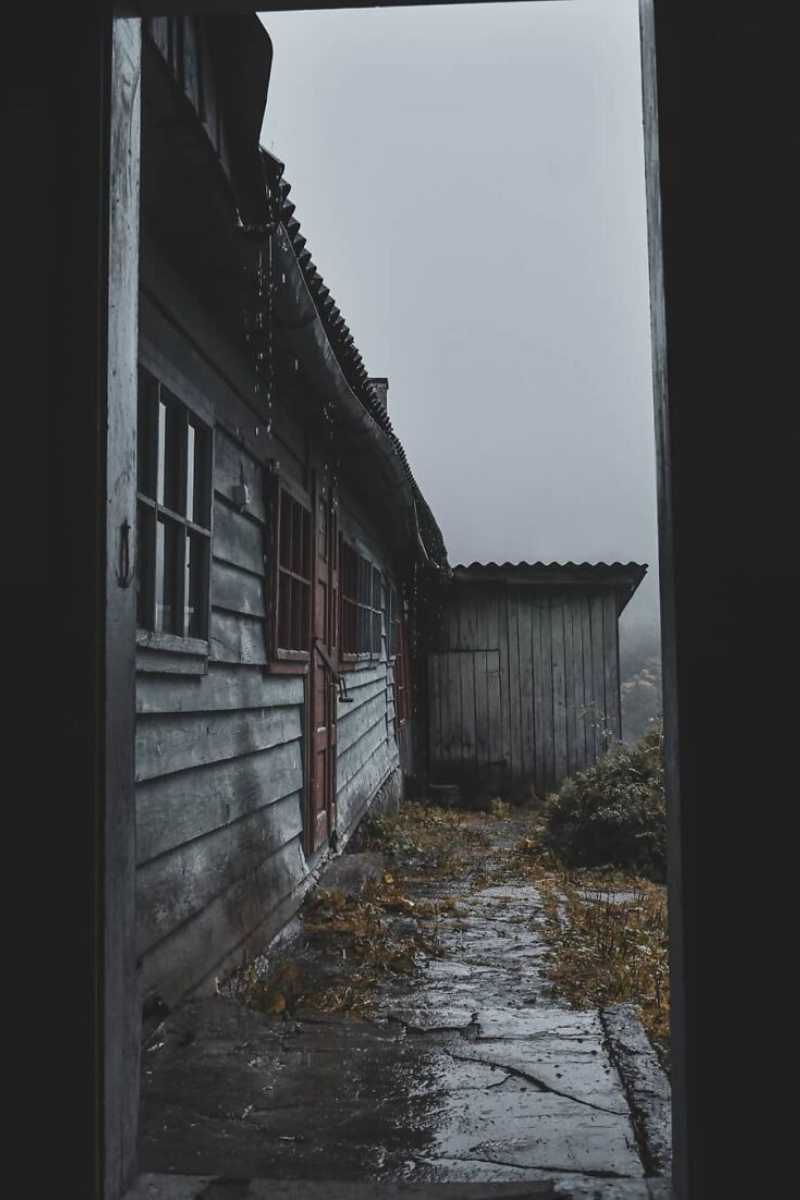 Українські Карпати - місце сили | Фоторепортаж 14