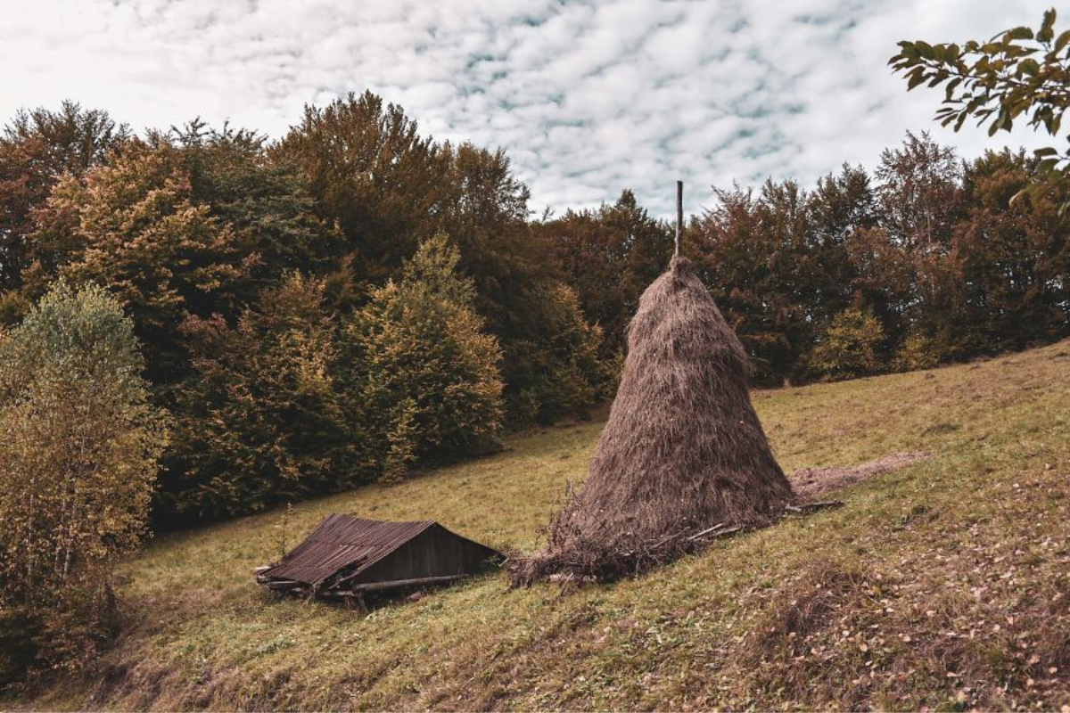Українські Карпати - місце сили | Фоторепортаж 2