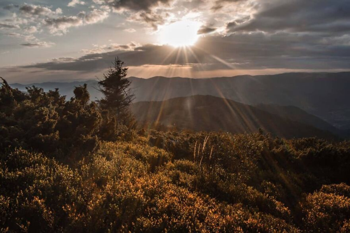 Українські Карпати - місце сили | Фоторепортаж 5