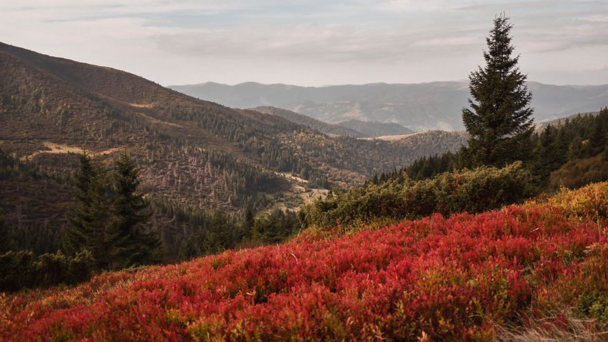 Українські Карпати - місце сили | Фоторепортаж