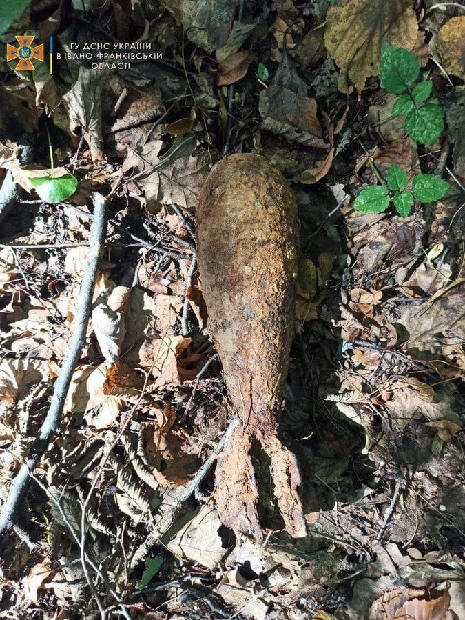 На Прикарпатті знешкодили два вибухонебезпечні предмети 1