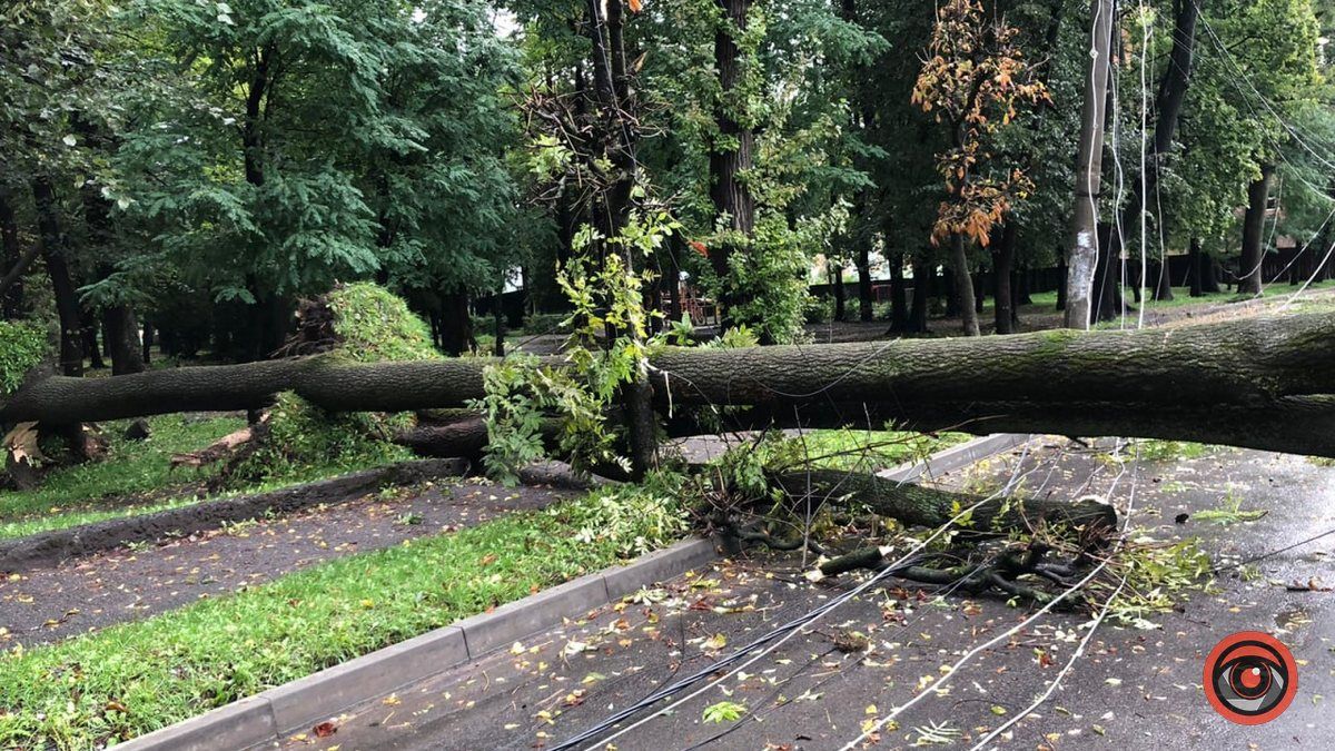 На вулиці Чайковського стихія наробила лиха
