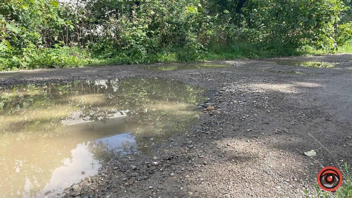 На вулиці Лисенка розлилась справжня водойма або як перепливти ставок 3