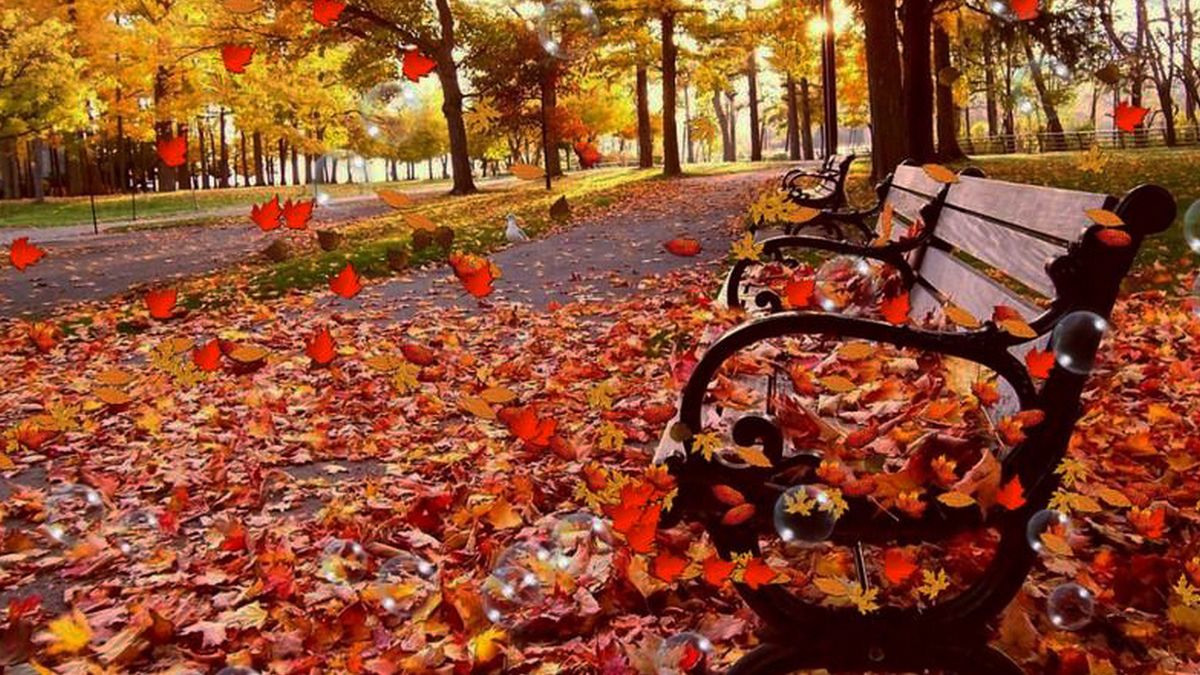 Дати, іменинники, свята 20 вересня