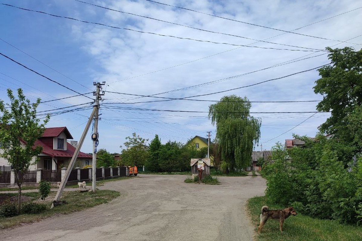 Вчимо нові назви вулиць Коломиї 1