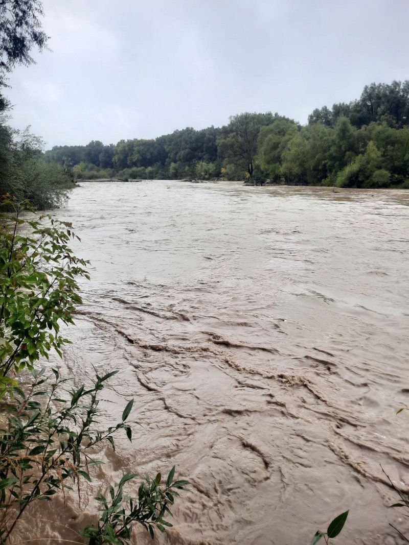 У Бистриці піднявся рівень води 1