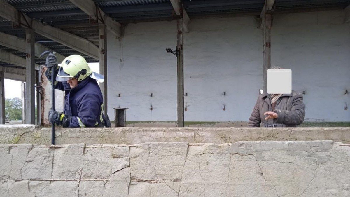 У Обертині коза та її господиня застрягли серед бетонних плит 1