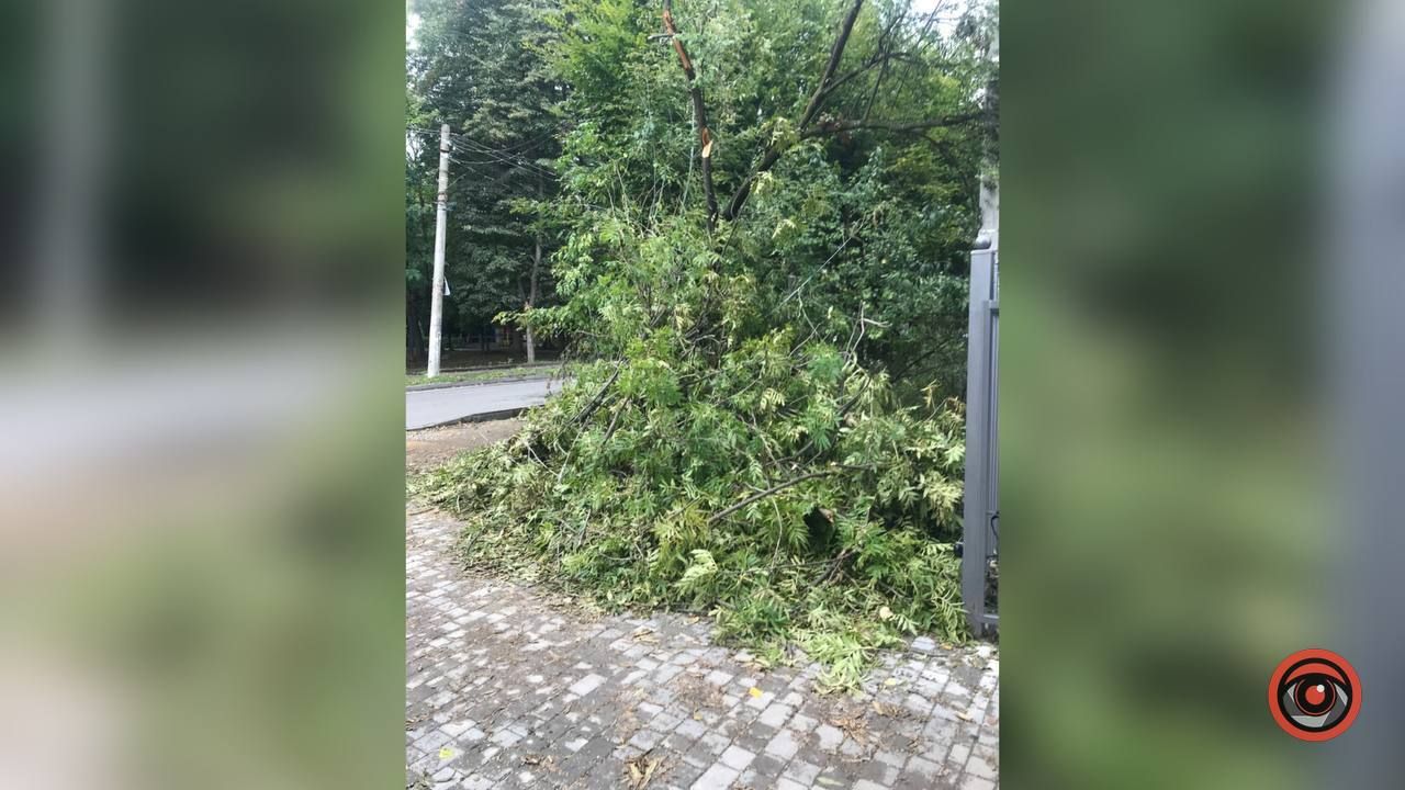 Наслідки негоди досі не прибрали на вулиці Чайковського 2