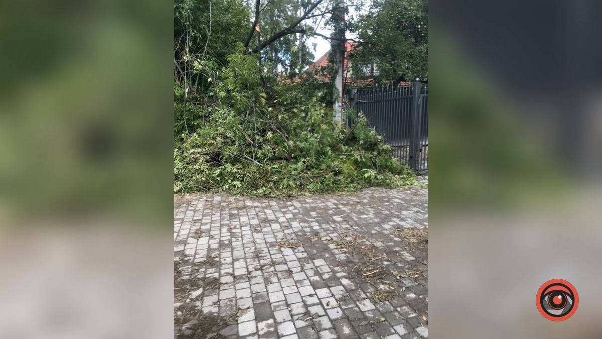 Наслідки негоди досі не прибрали на вулиці Чайковського 1