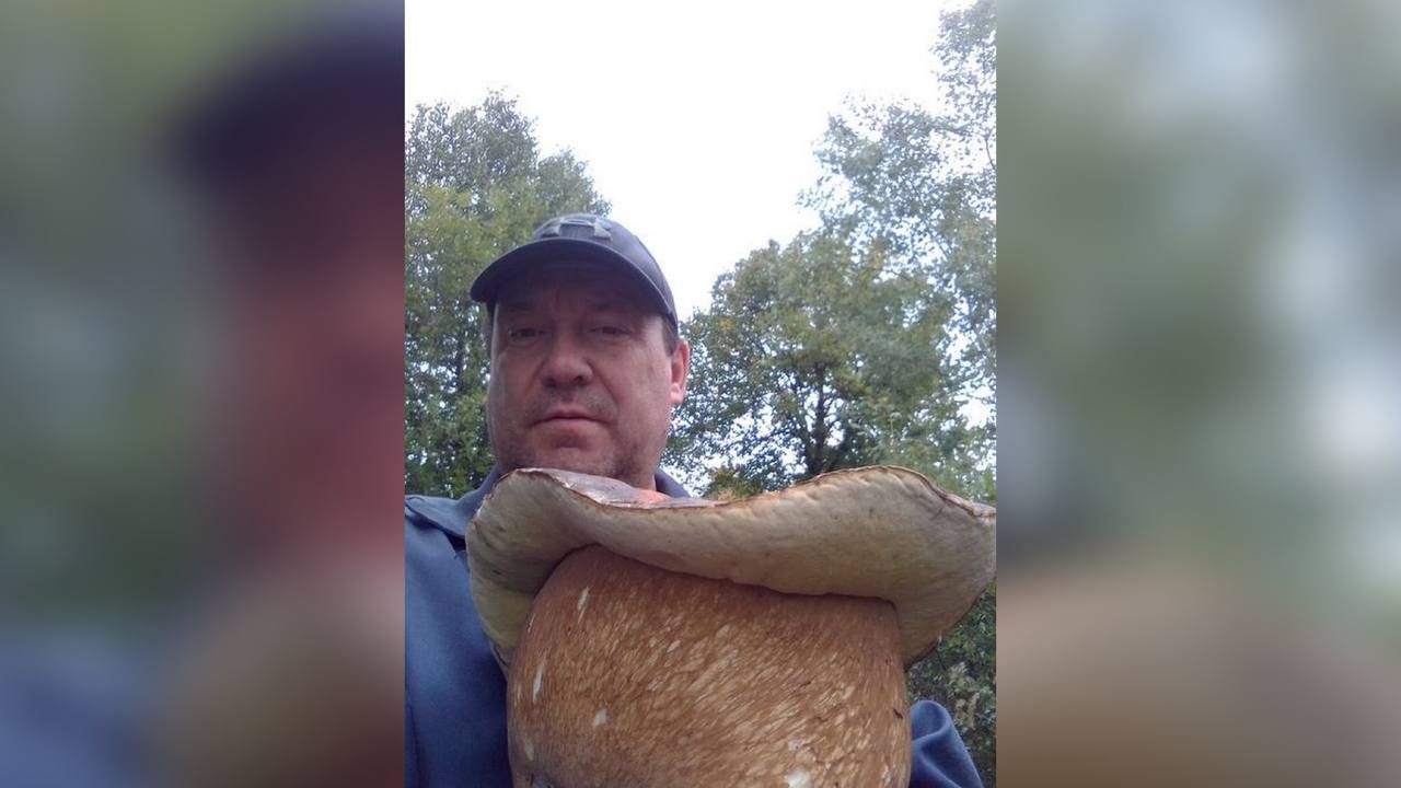 У Карпатах знайшли ще одного гриба-гіганта