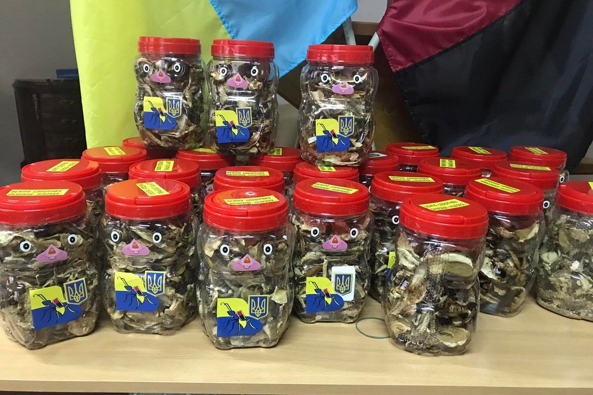 За два дні волонтери назбирали на Верховинщині 400 кг грибів 3