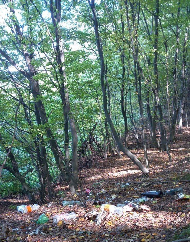 На горі Трикутник у Воскресінцях "добродії" розкидали сміття 2